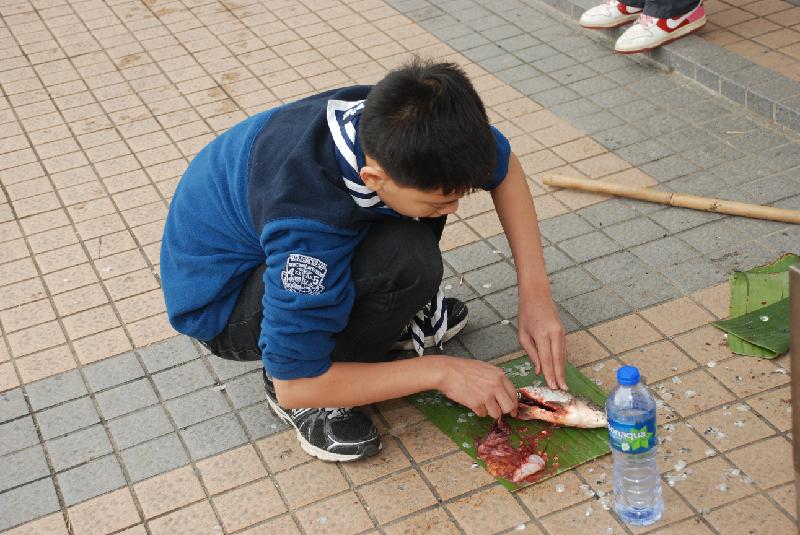 DSC_0252.JPG