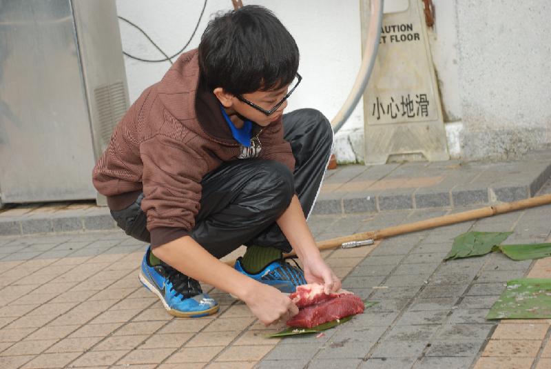 DSC_0264.JPG