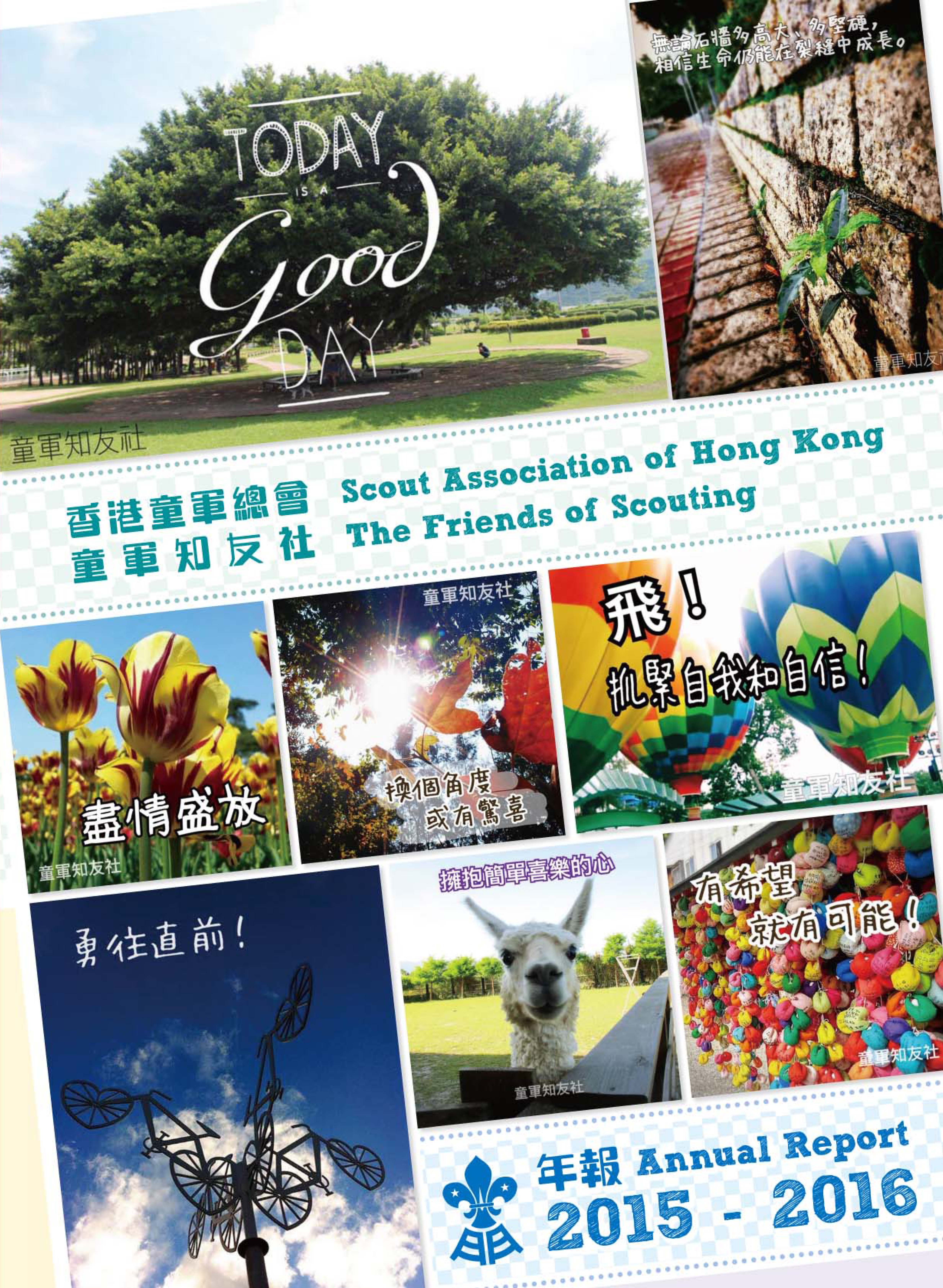 2015-2016年報